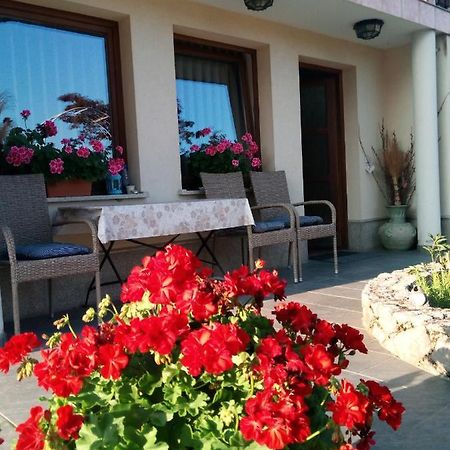 Dolenjska Vila Zuzemberk المظهر الخارجي الصورة