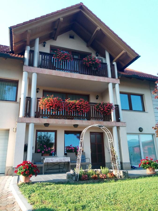 Dolenjska Vila Zuzemberk المظهر الخارجي الصورة