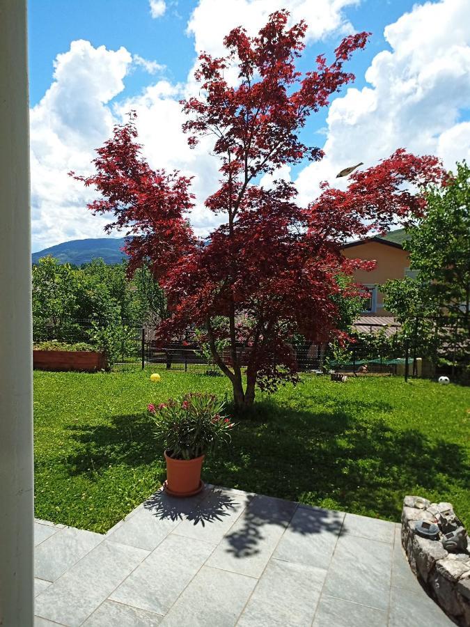 Dolenjska Vila Zuzemberk المظهر الخارجي الصورة