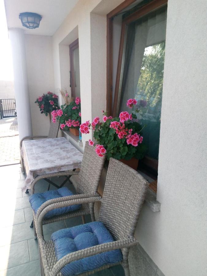 Dolenjska Vila Zuzemberk المظهر الخارجي الصورة