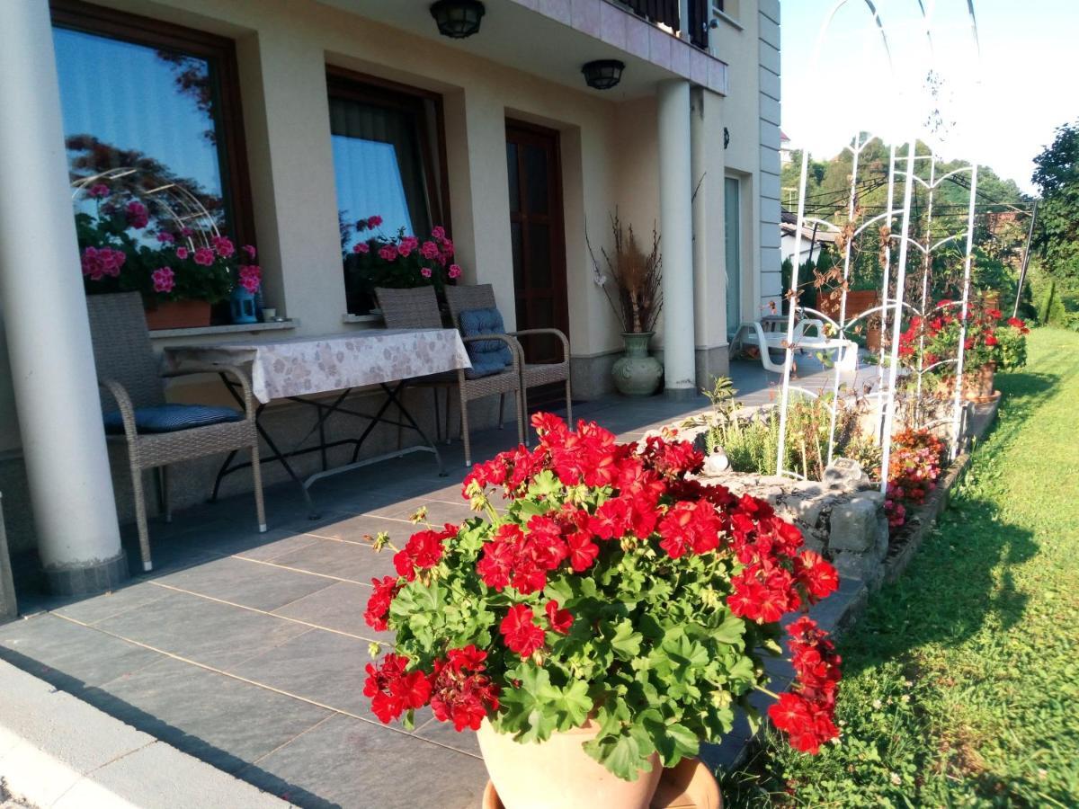 Dolenjska Vila Zuzemberk المظهر الخارجي الصورة